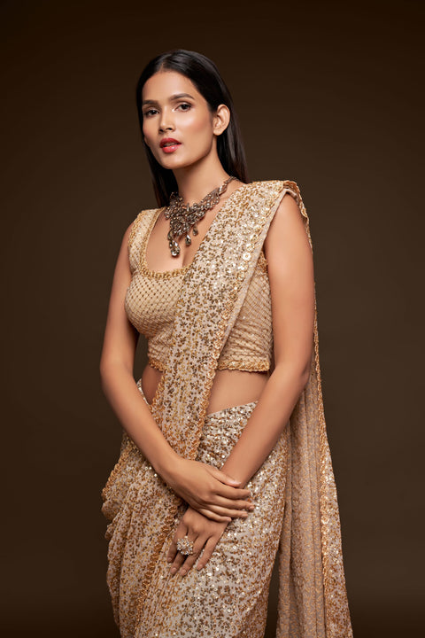 Ivory Sequins Indian saree with blouse in USA, Perfect for Indian wedding partywear sequins saree