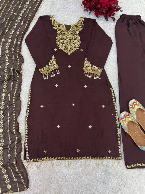 Coffee Color Chinnon With Embroidery Sequence Work