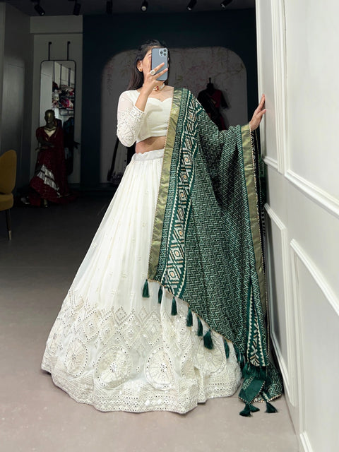 Experience timeless elegance with this beautiful lucknowi paper mirror work lehenga for women