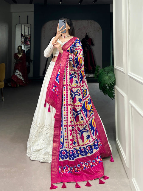 Experience timeless elegance with this beautiful lucknowi paper mirror work lehenga for women