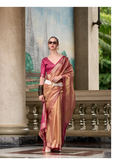 Brown Tissue Silk Indian Wedding Wear saree with blouse in USA, Perfect for Indian Party Wear sequins saree For Woman