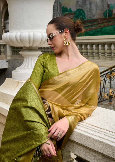 Green Tissue Silk Indian Wedding Wear saree with blouse in USA, Perfect for Indian Party Wear sequins saree For Woman