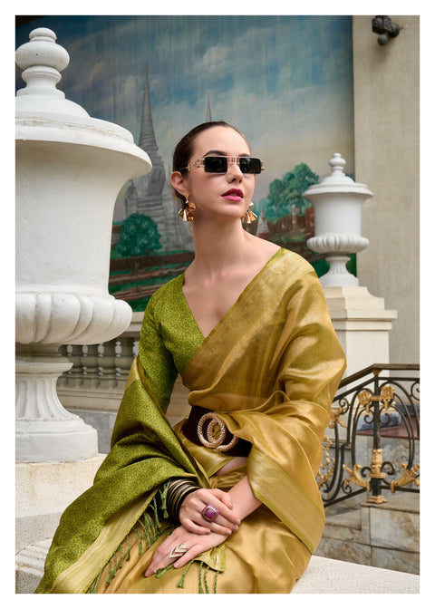 Green Tissue Silk Indian Wedding Wear saree with blouse in USA, Perfect for Indian Party Wear sequins saree For Woman