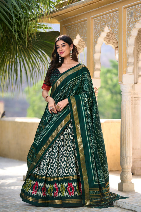 Amazing Lehenga Choli perfect for making unforgettable memories in classic elegance For Woman